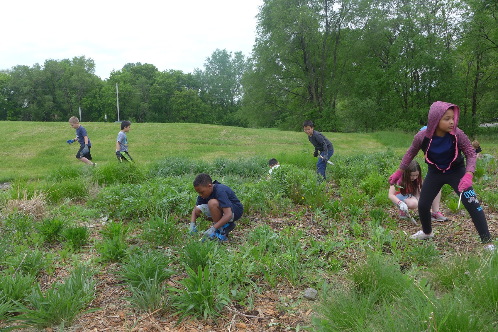 Image slide of VHE students caring for the garden. 