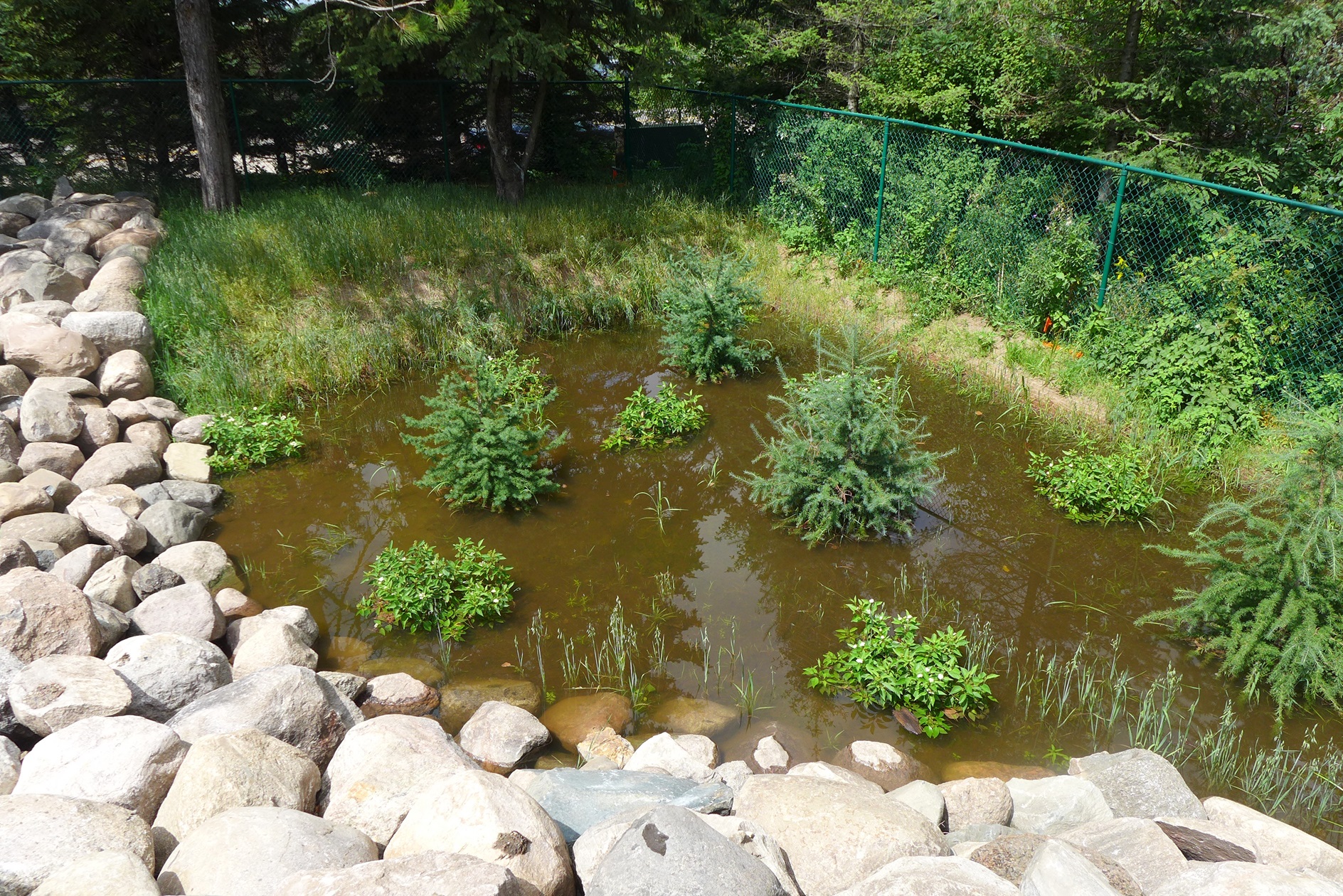 Image slide of Large basin holding water