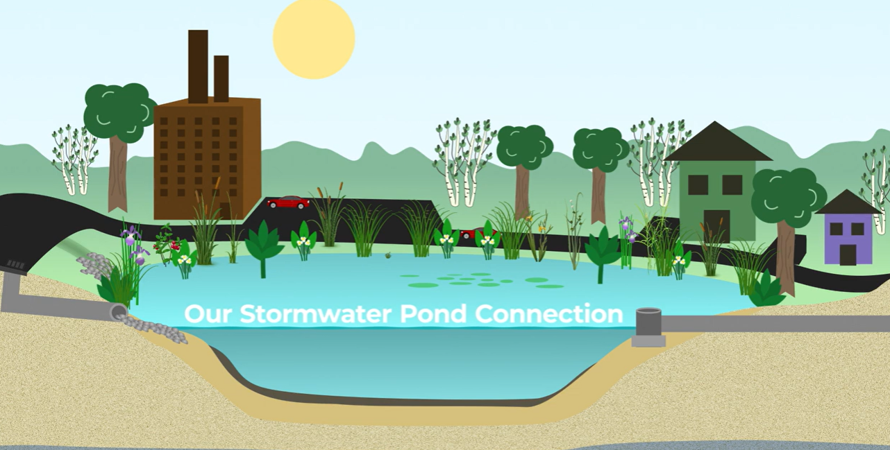 Our Stormwater Pond Connection - video snip.png