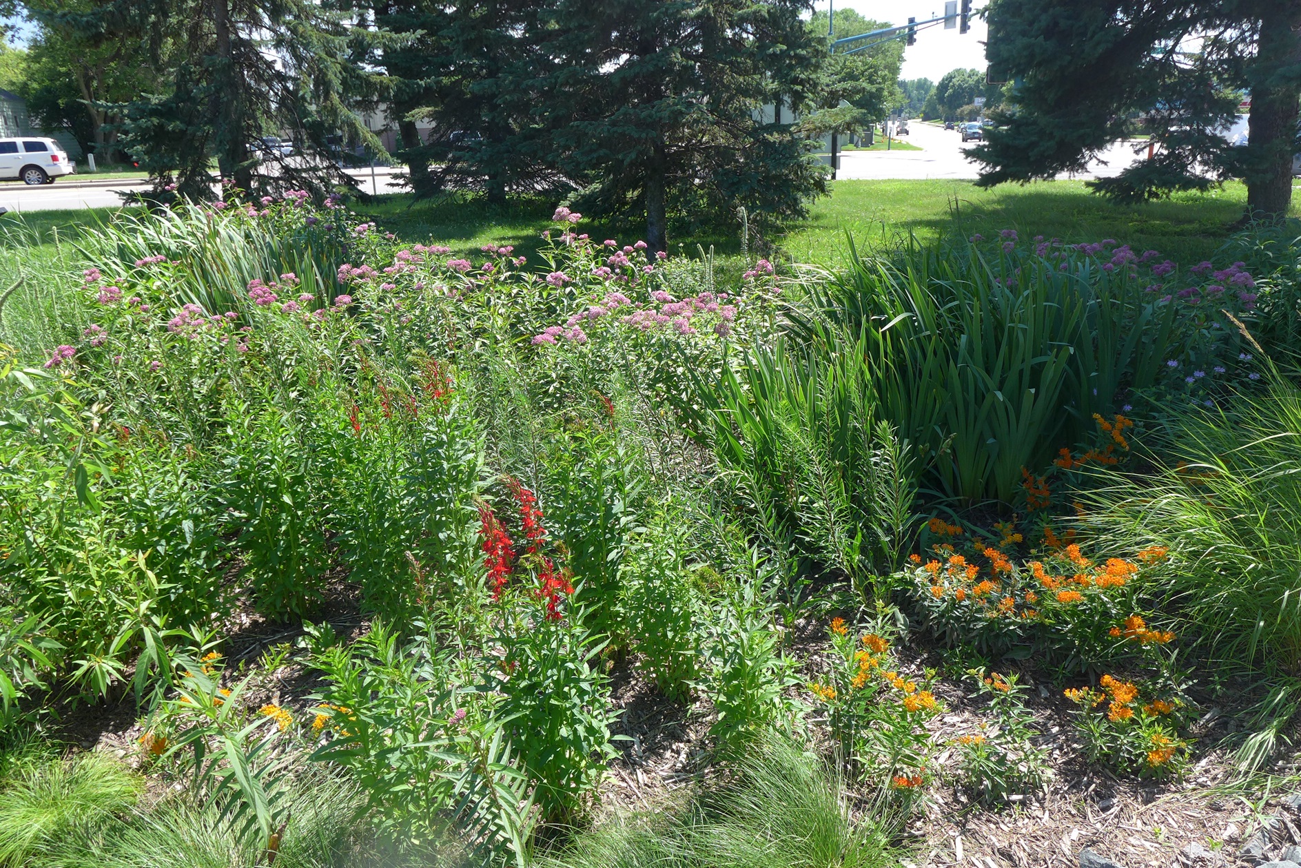 Image slide of Small basin