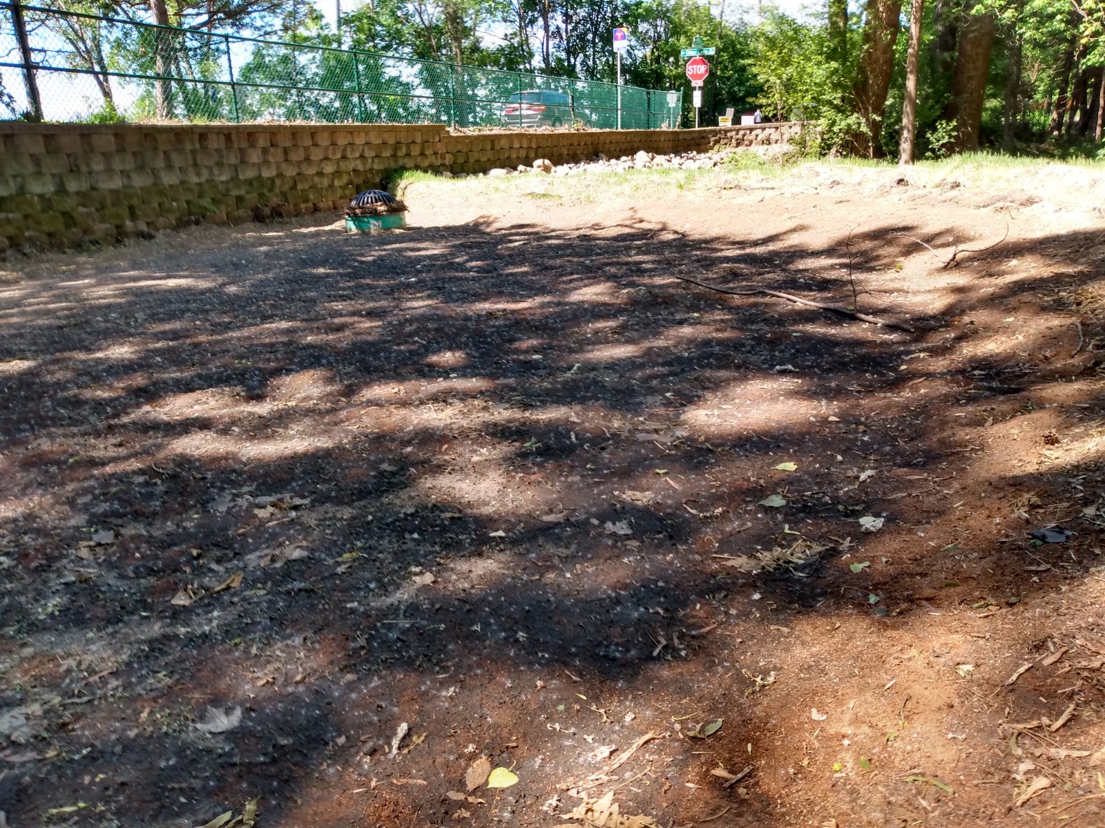 Image slide of Newly complete