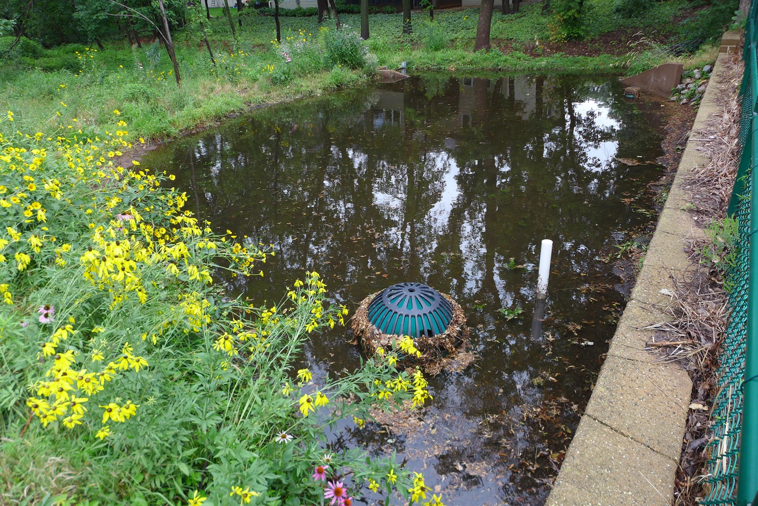 Image slide of After a rain event