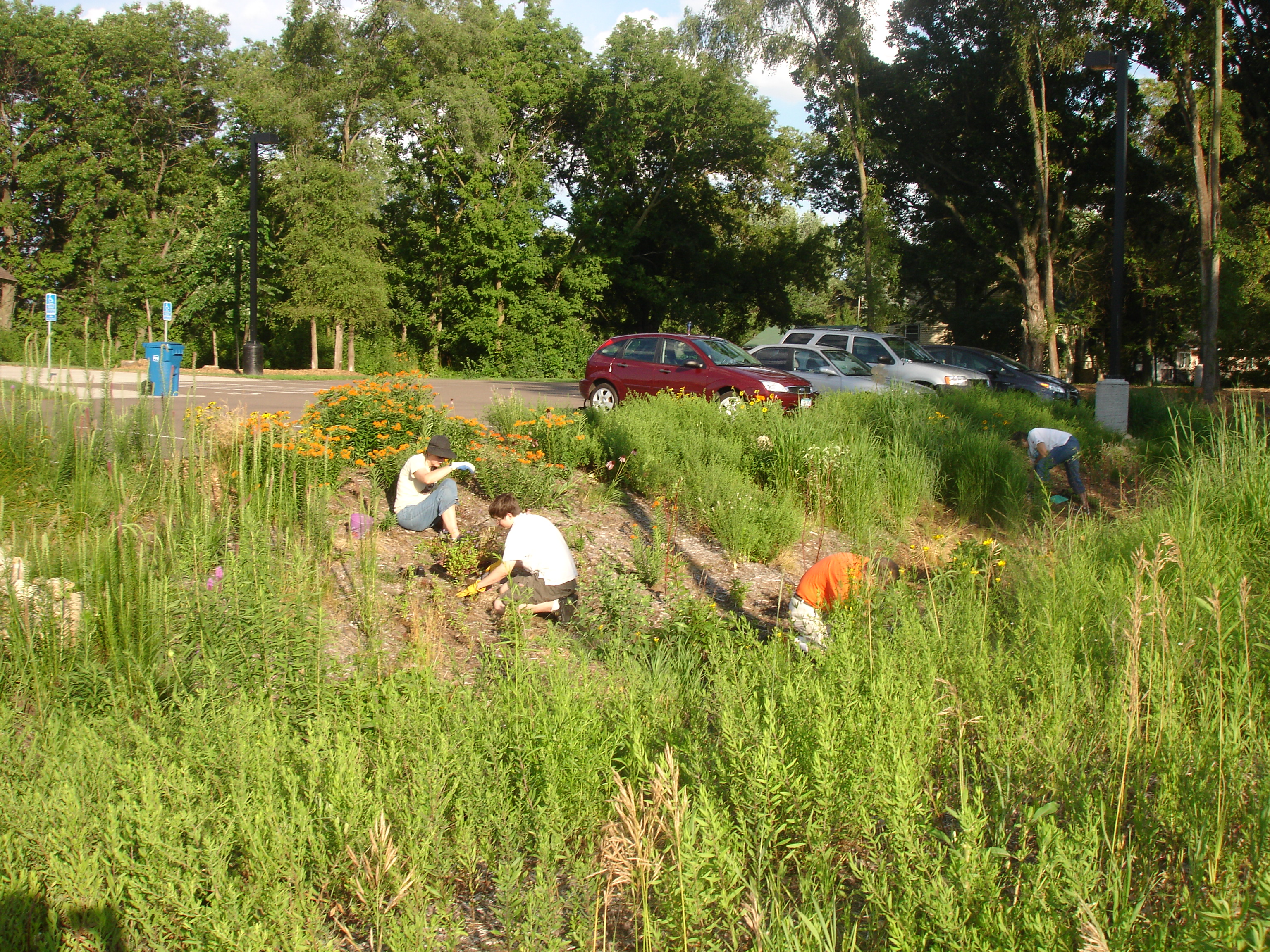 Image slide of Volunteer maintenance 