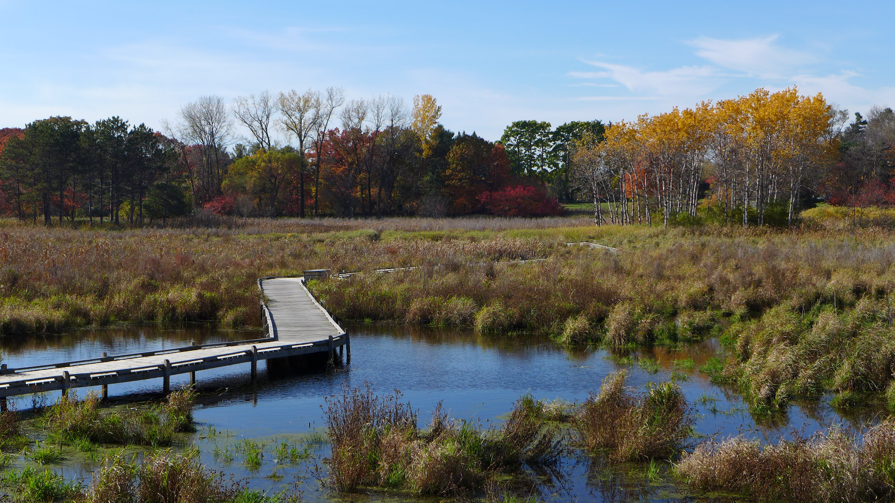 Image slide of The wetland in the fall, before restoration work began. 