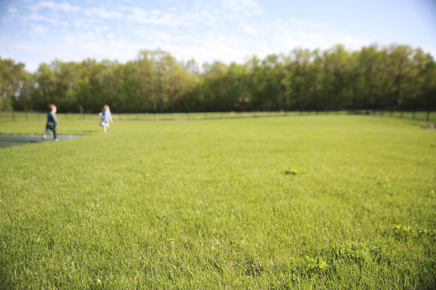 Grassy Lawn - Clean Water MN.jpg