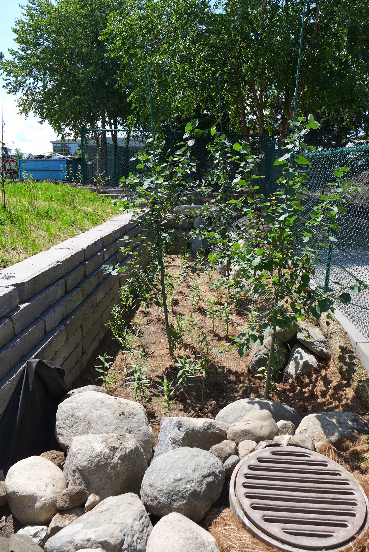 Image slide of Medium basin