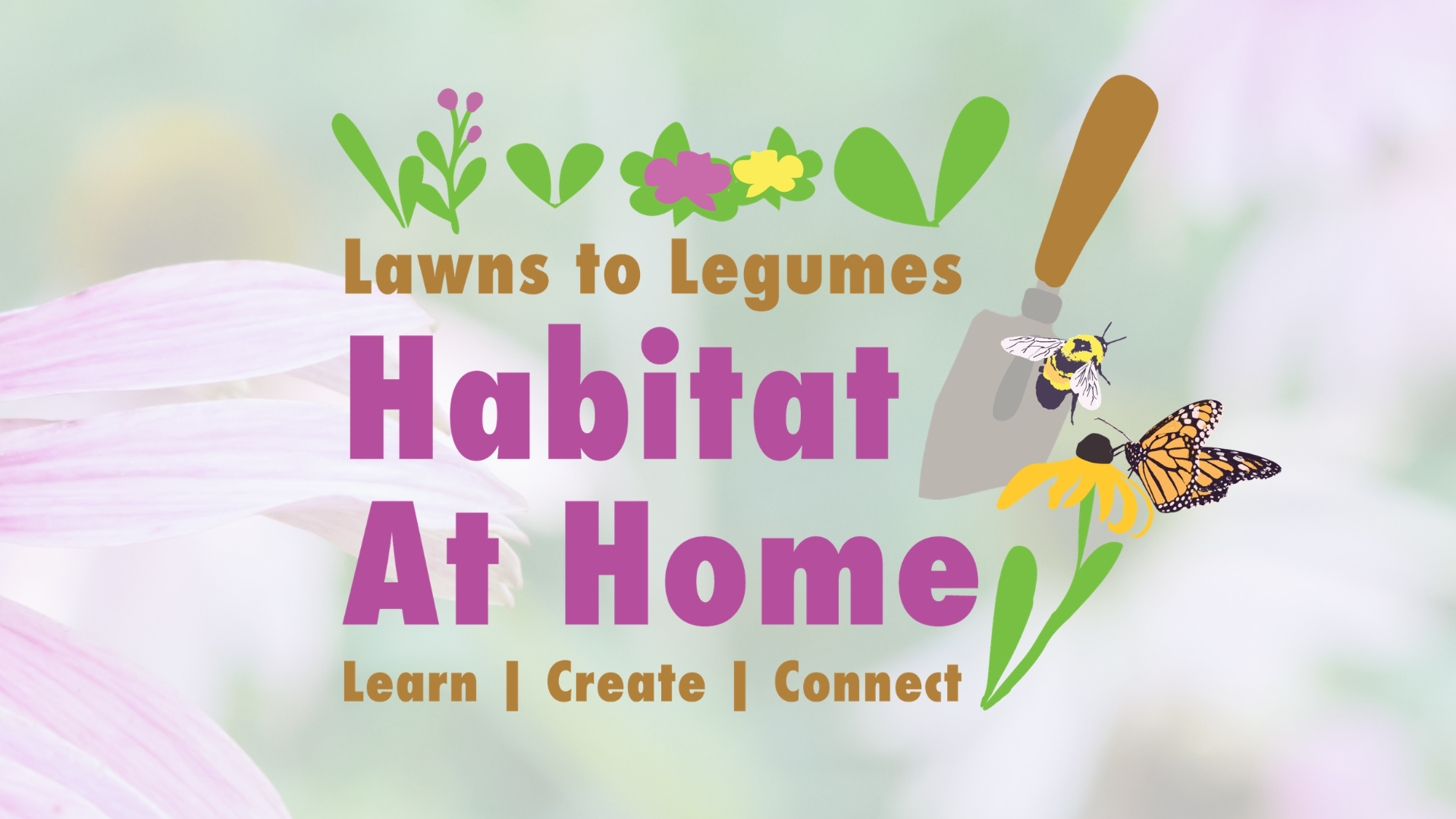 View the Habitat at Home page on the Blue Thumb website