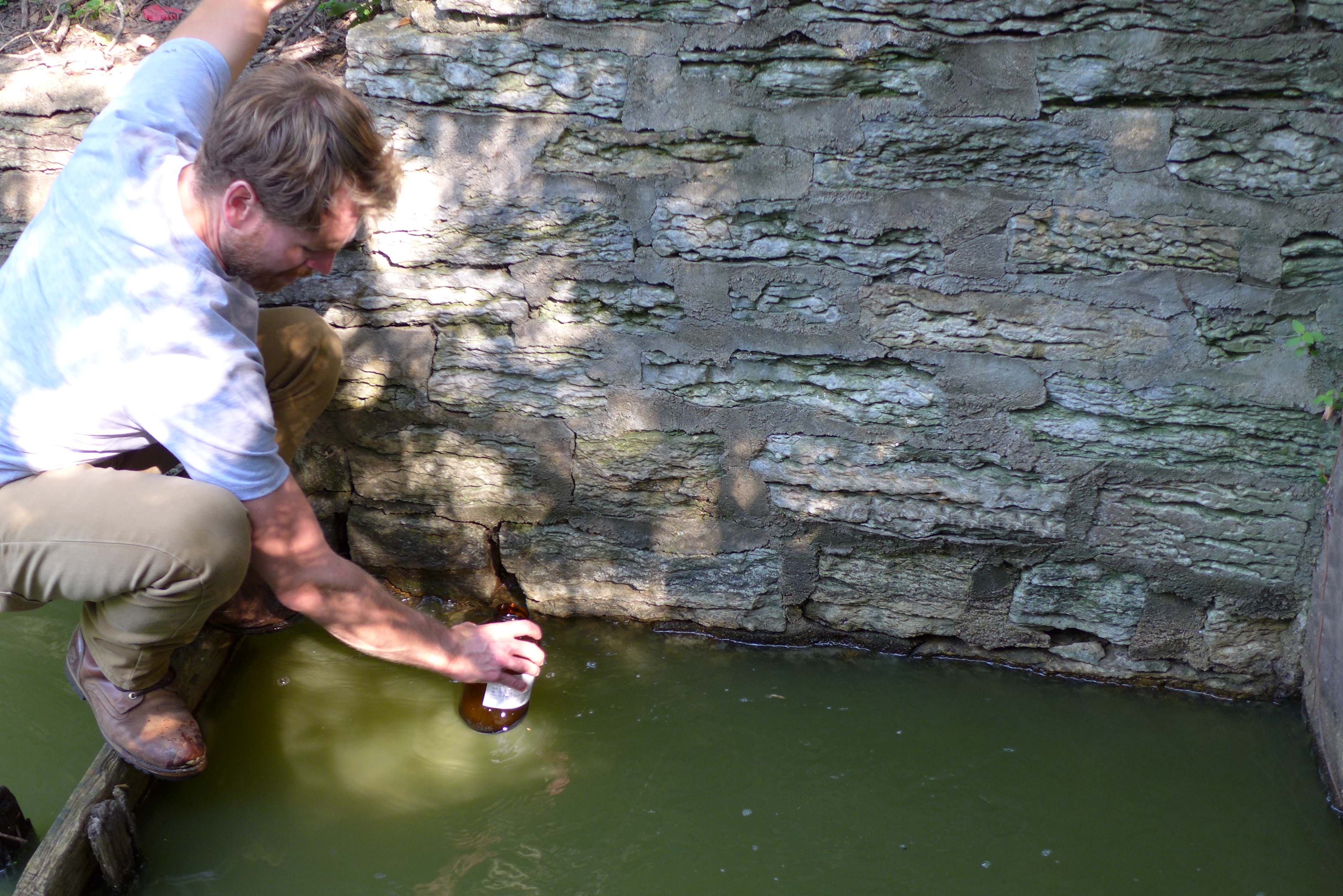 goose flume sample.jpg